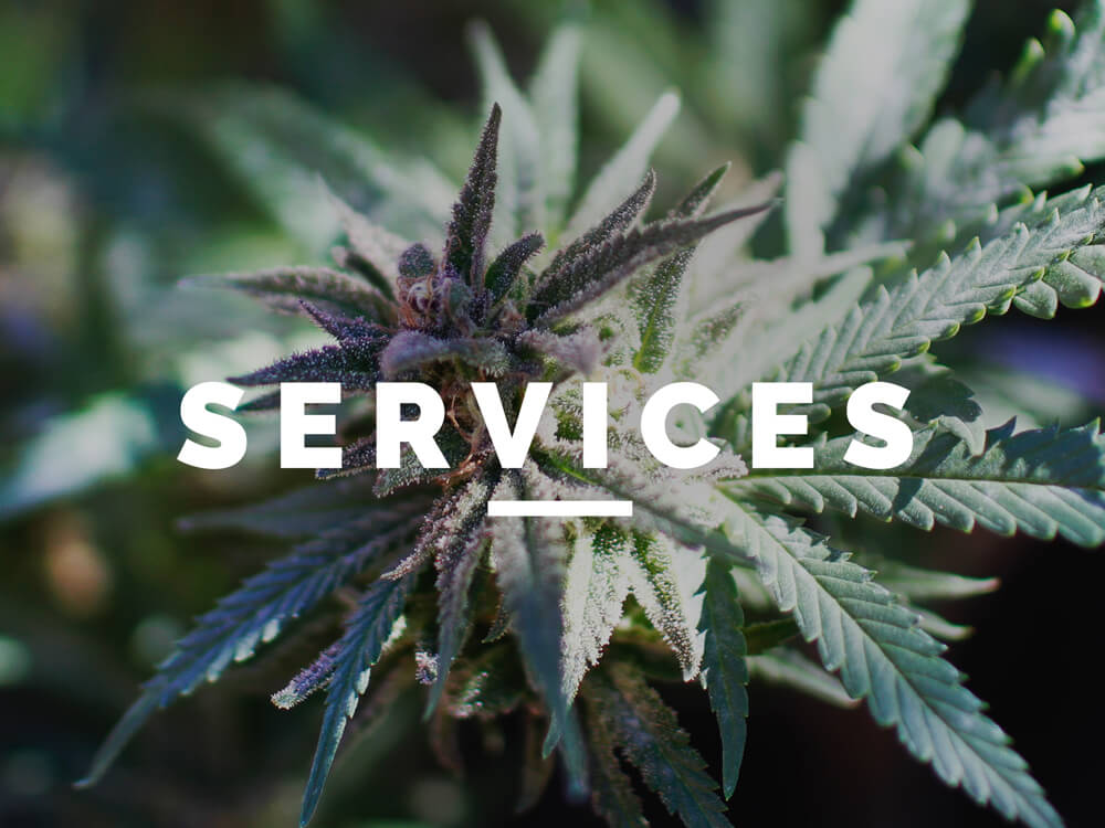 Cannabis Accountant Services | Marijuana Accountant Services | Denver, Colorado
