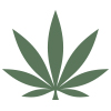 Cannabis and Marijuana Bookkeeping Services